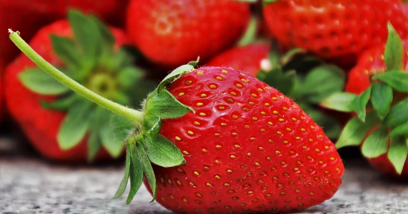 Le calendrier fruit ↔ dessert qui manque partout