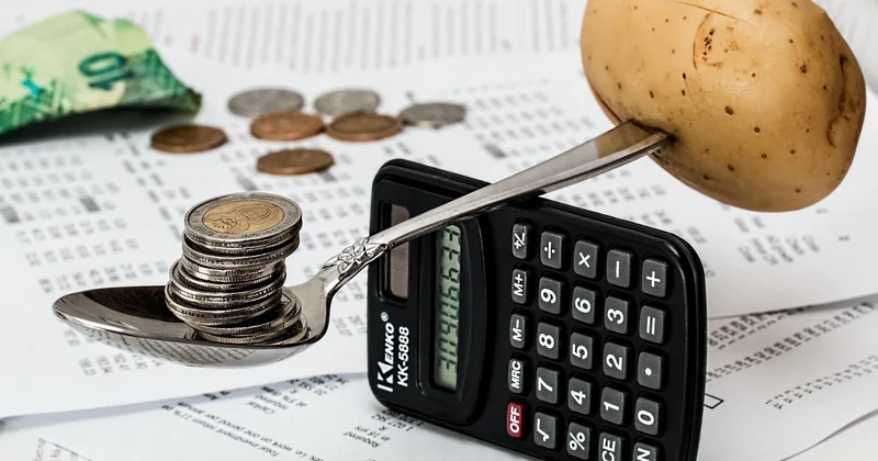 Le budget réel d'une semaine végétarienne