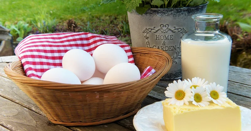 Repas étudiant pas cher et équilibré : comment on tient la semaine